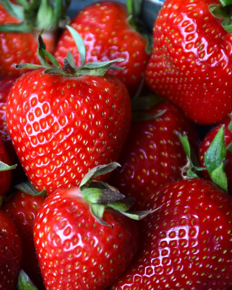 Albion Strawberry #1<br><i>Fragaria Albion</br></i>