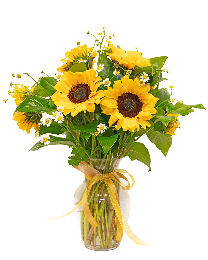 Mountain Meadow Floral Arrangement from $68-$100