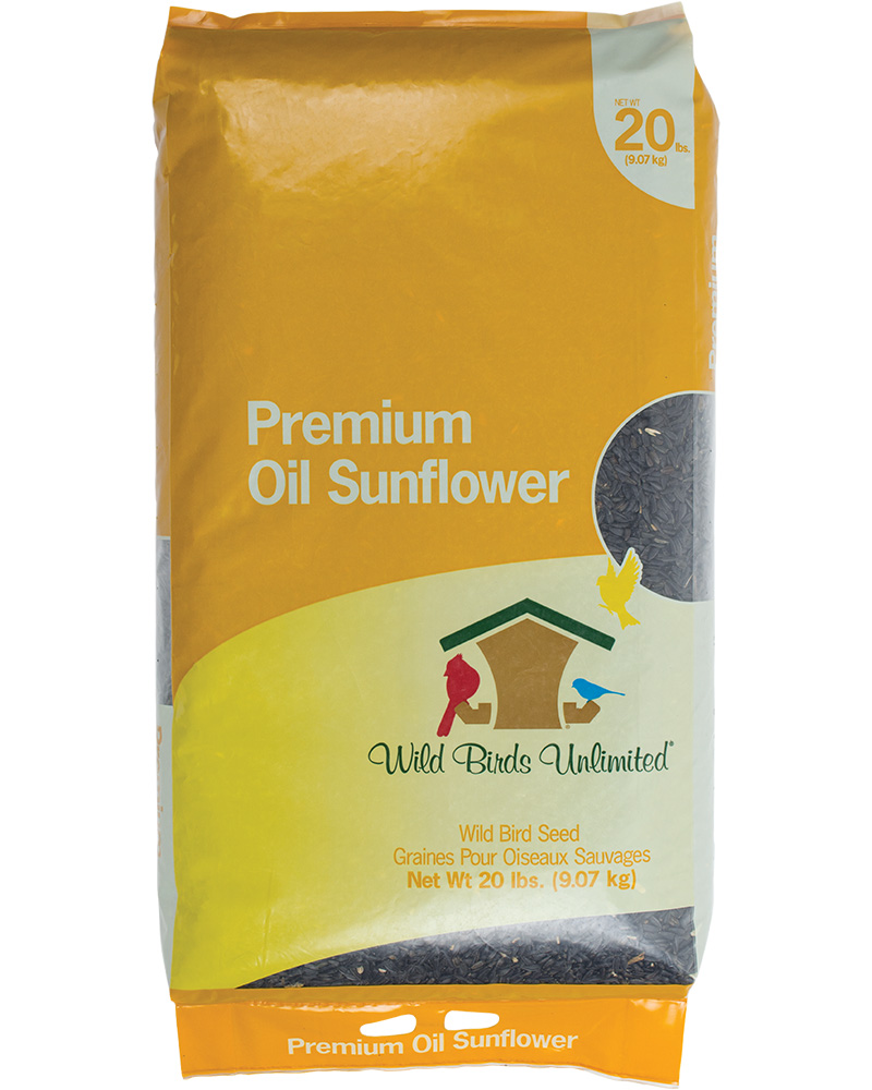 Premium Black Oil Sunflower Bird Seed 20lb