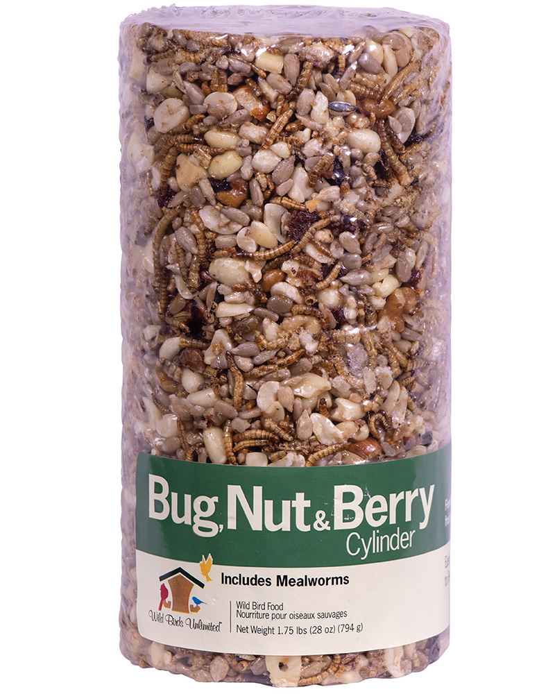 Bug, Nut & Berry Bird Seed Cylinder Small