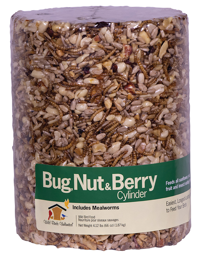 Bug, Nut & Berry Bird Seed Cylinder Large
