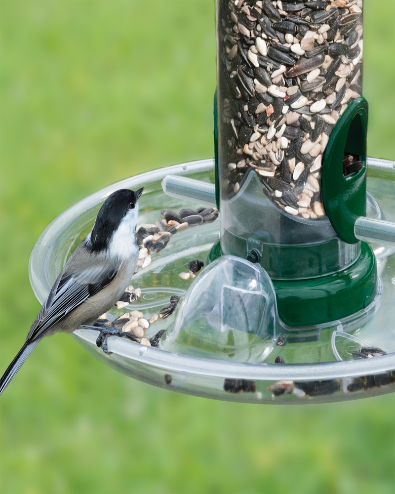 Feeder Tray Quick Clean