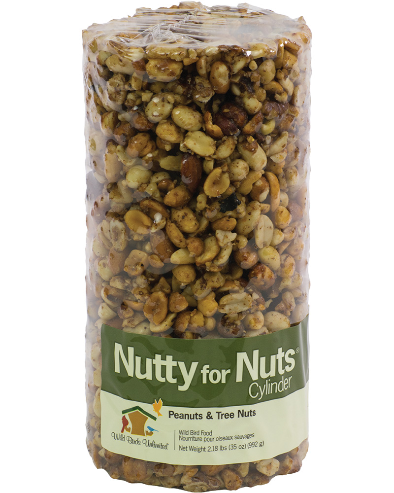 Nutty For Nuts Bird Seed Cylinder Small