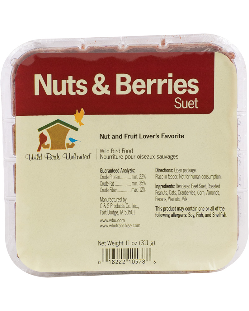 Suet Cake Nuts & Berries