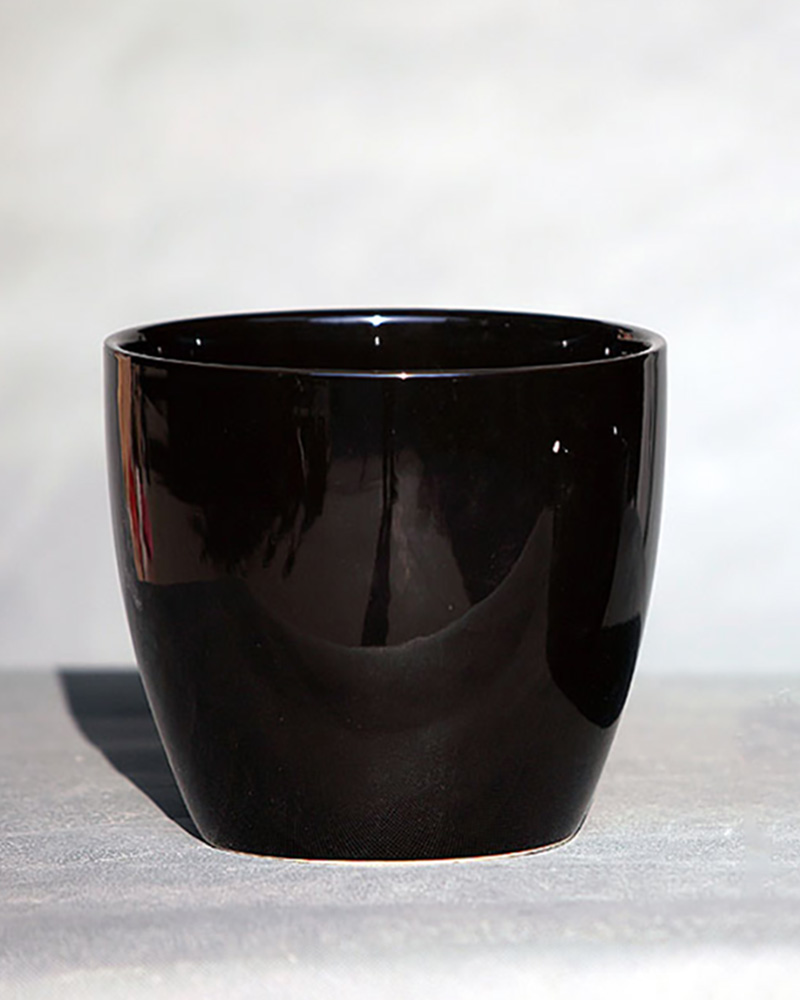 Peace Lily Cache Pot Glossy Black 5.5"x4.5"