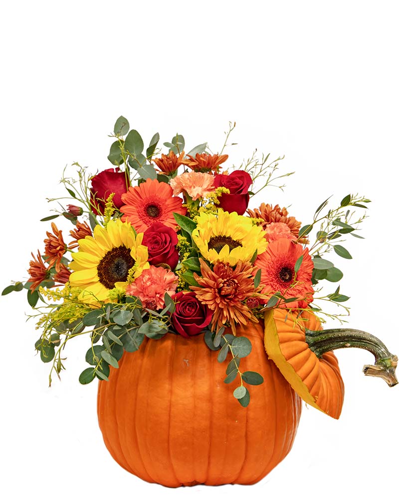 Pumpkins Spice Floral Arrangement from $85-$150