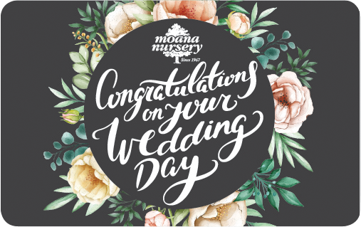 Congratulations on Your Wedding Day!