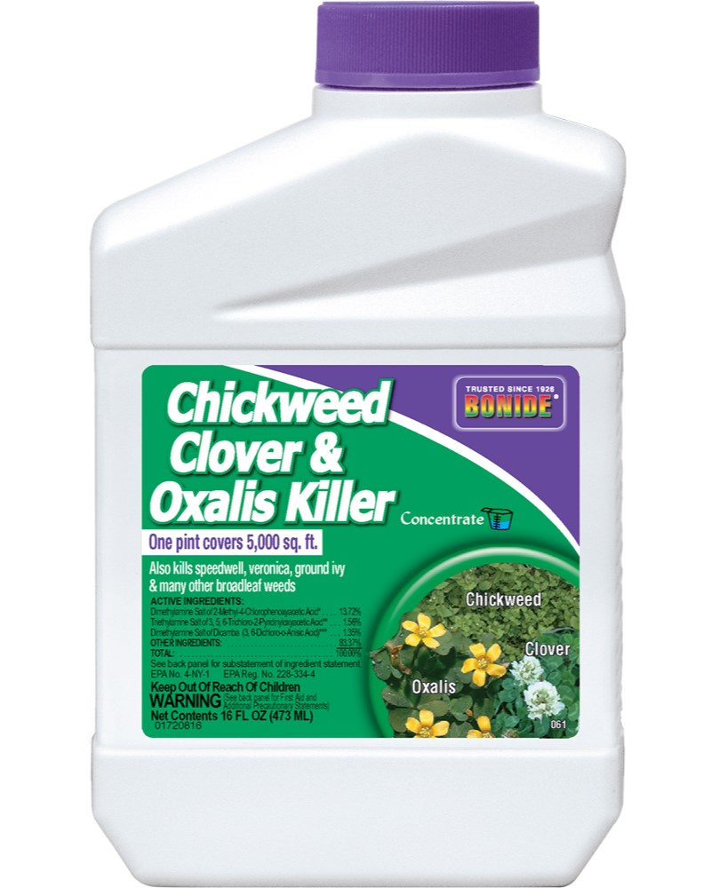 Bonide Chickweed, Clover, & Oxalis Killer Concentrate, 16 oz