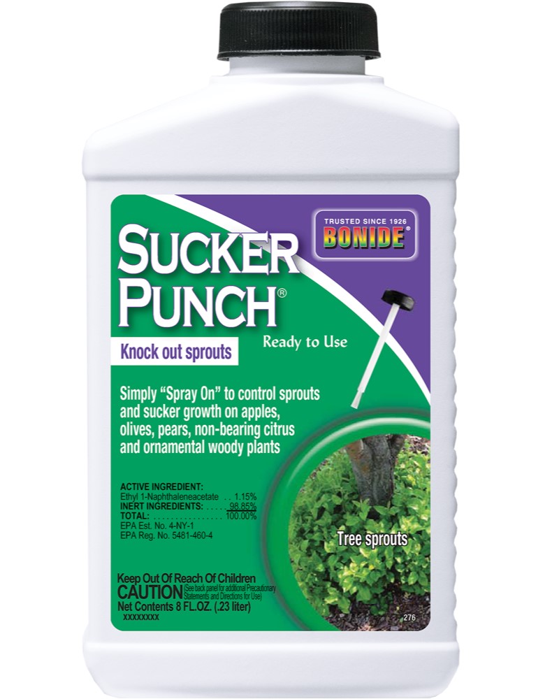 Bonide Sucker Punch Ready-To-Use 8oz