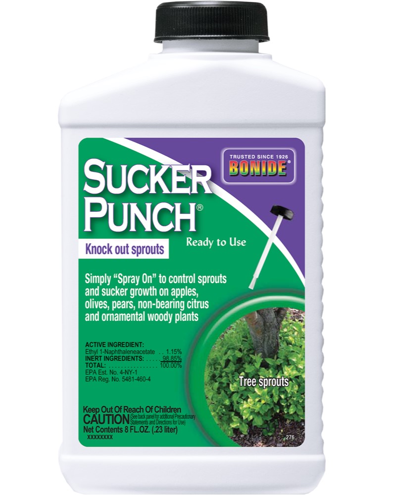 Bonide Sucker Punch Ready-To-Use, 8 oz