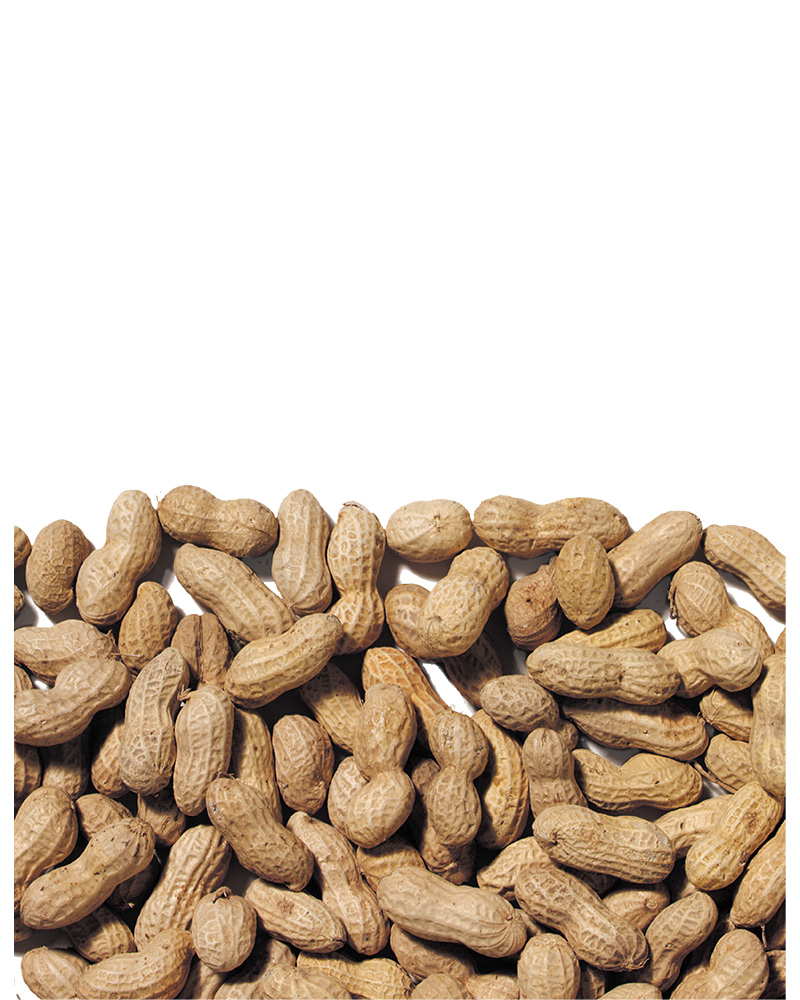 Peanuts in Shell Bird Food 3lb