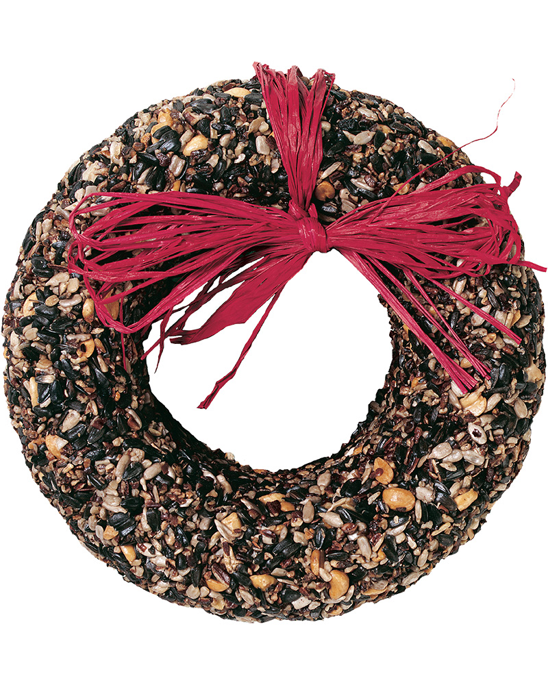 Seed Wreath Cranberry Fare