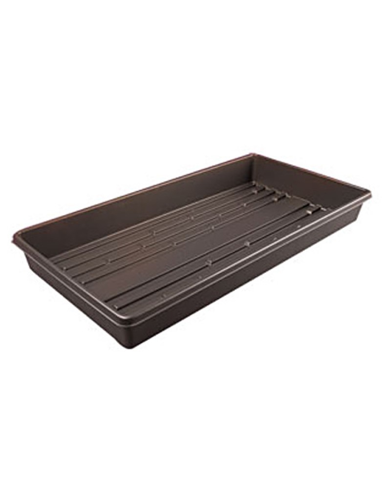 Tray for 72 Plug Insert