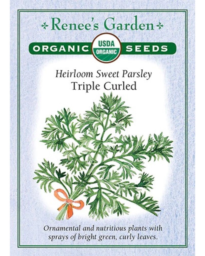 Parsley Triple Curled Organic Seeds