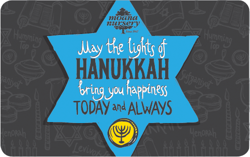 Happy Hanukkah!