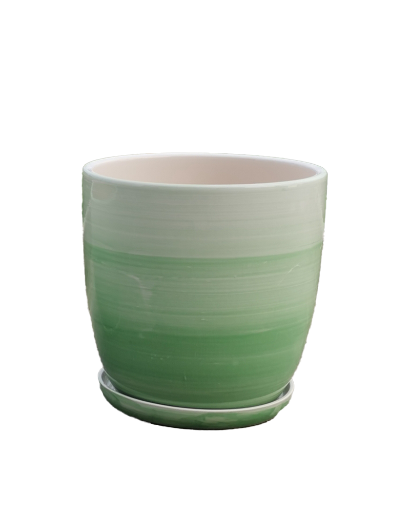 Daffodil Pot with Saucer Ombre Green 8"