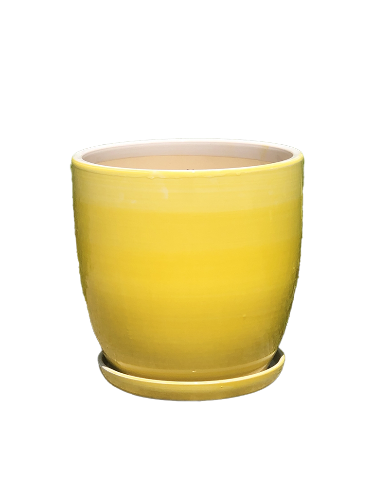 Daffodil Pot with Saucer Ombre Yellow 8"