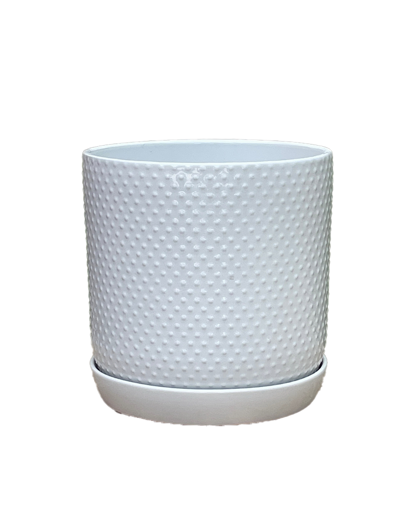 Dotted Cylinder Pot White 5"