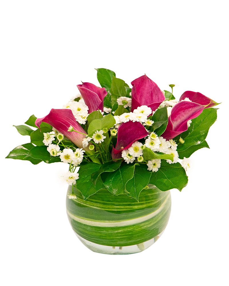 "Calla Fornia" Lillies Floral Arrangement from $85-$115
