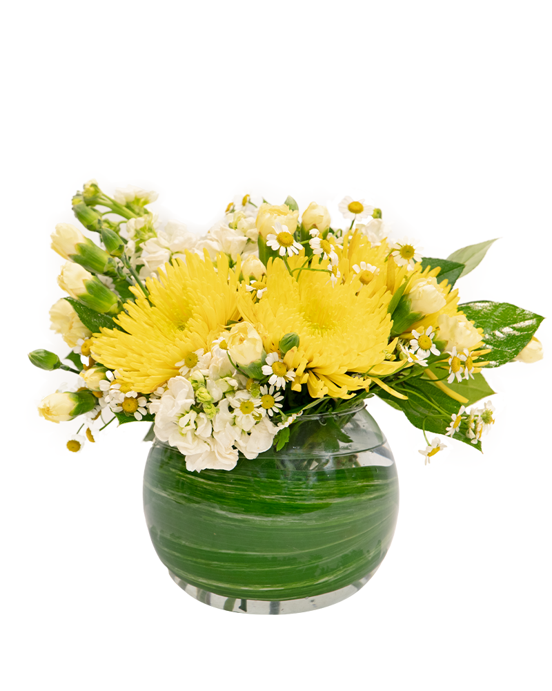 Lemon Drops Floral Arrangement from $50-$89