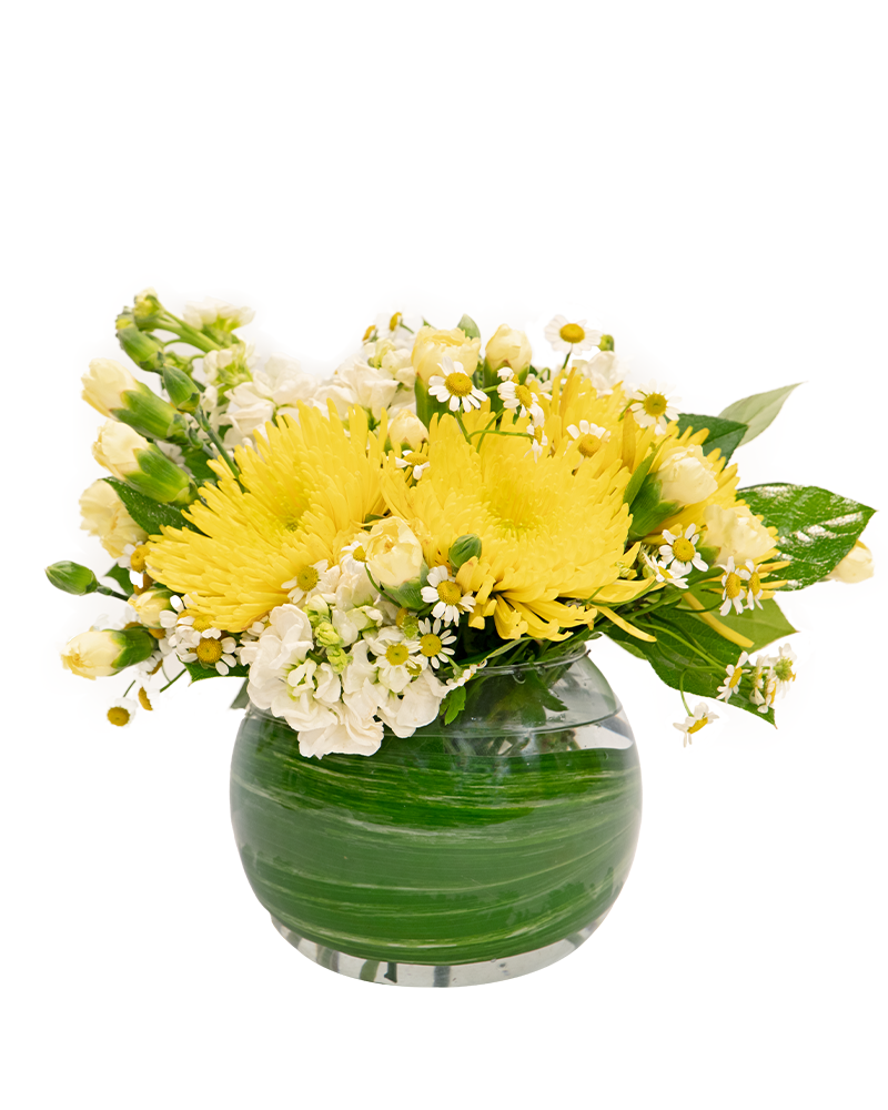 Lemon Drops Floral Arrangement from $65-$95