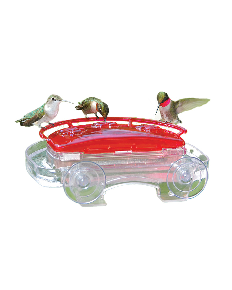 Decorative Window Hummingbird Feeder