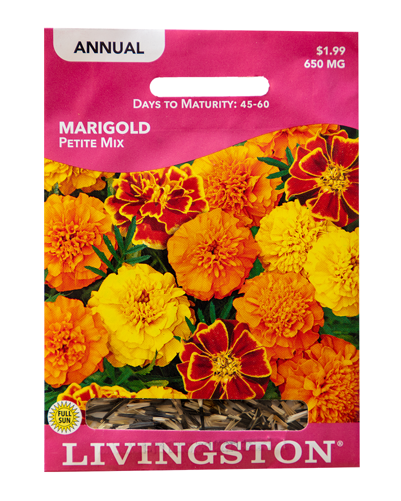 Marigold Petite Seeds
