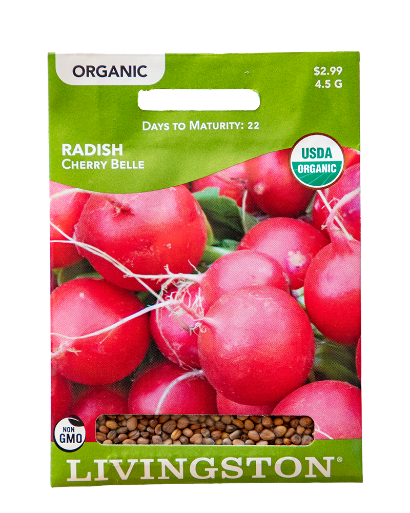 Radish Cherry Belle Organic Seeds