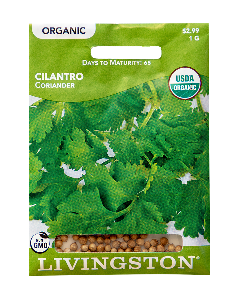 Cilantro Coriander Organic Seeds