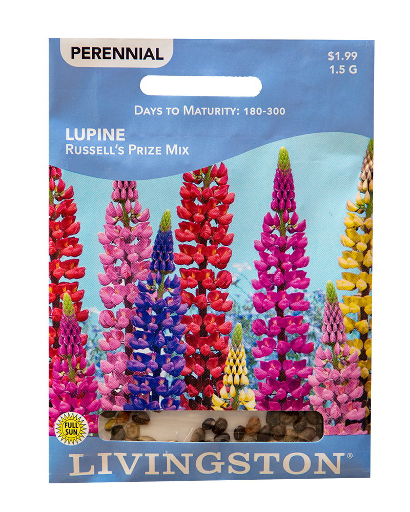Lupine Russell's Prize Mixture Seeds