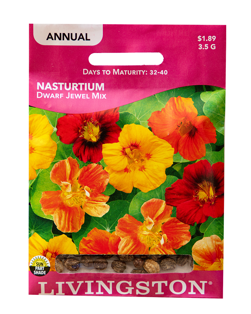 Nasturtium Dwarf Jewel Mix Seeds