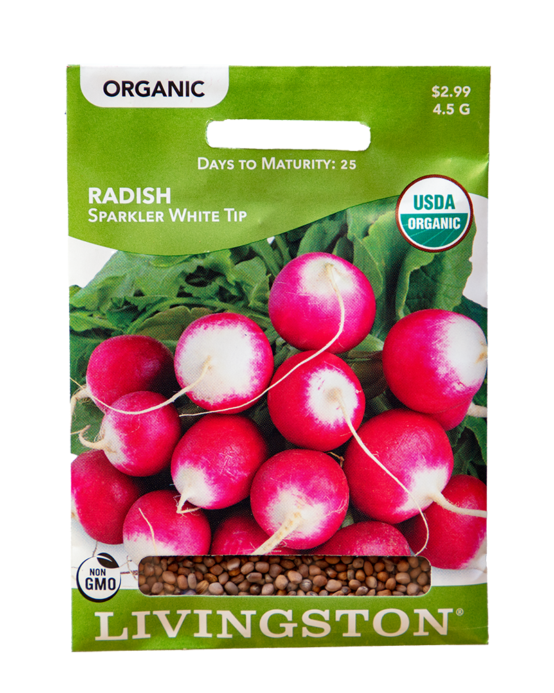 Radish Sparkler White Tip Organic Seeds