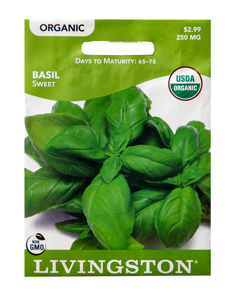 Basil Sweet Organic Seeds