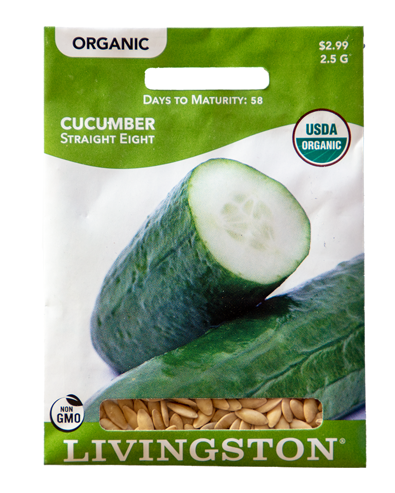 Cucumber Straight Eight Organic Seeds