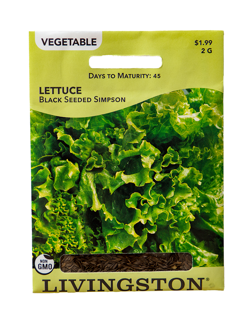 Departments Lettuce Black Seeded Simpson Organic Seeds