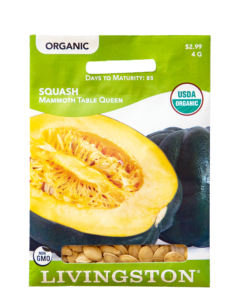 Departments Squash Table Queen Bush Organic Seeds