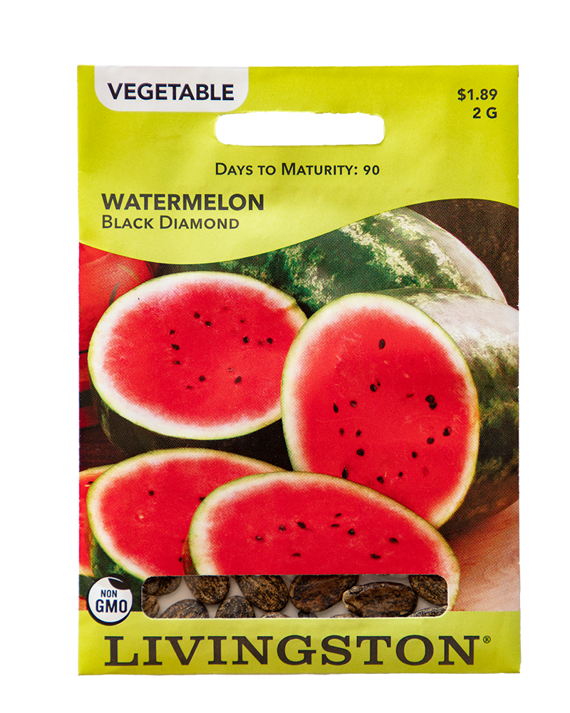 Departments Watermelon Black Diamond Seeds