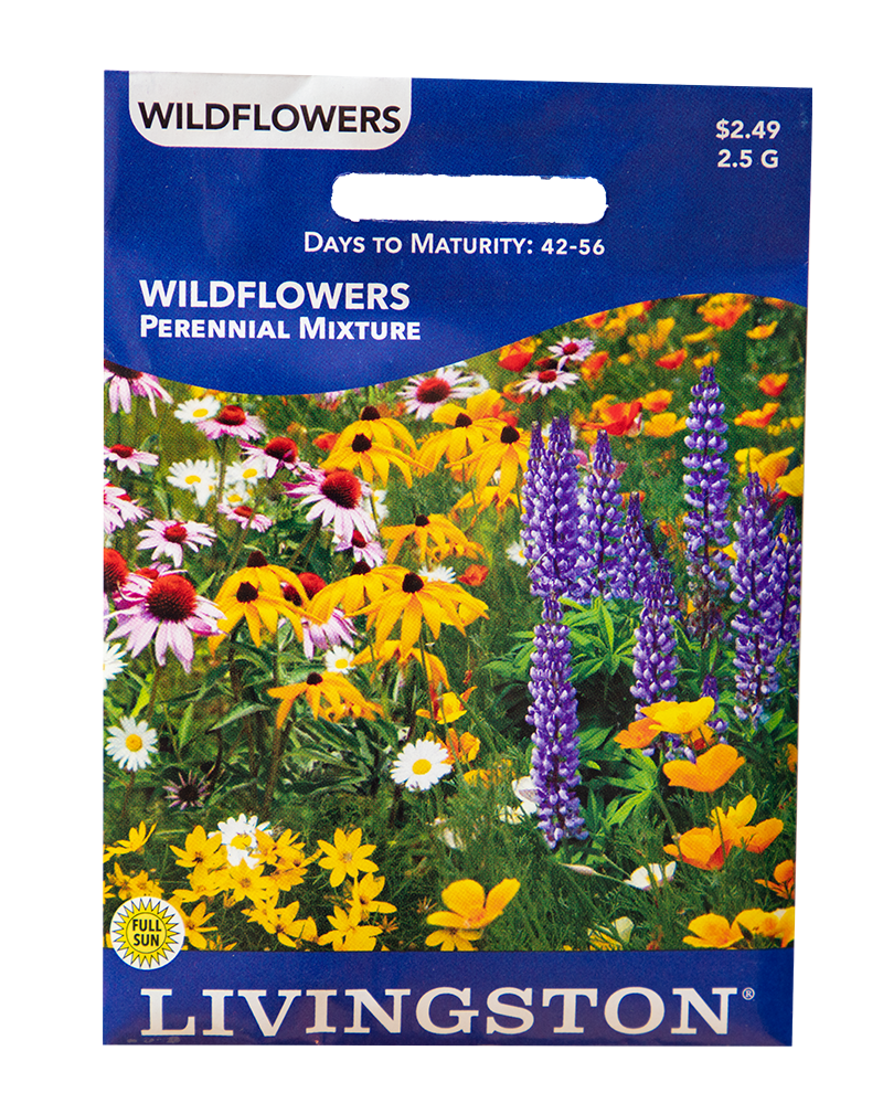Departments Wildflower Perennial Mix Seeds