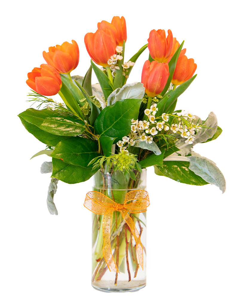 Timeless Tulips Floral Arrangement from $60-$80