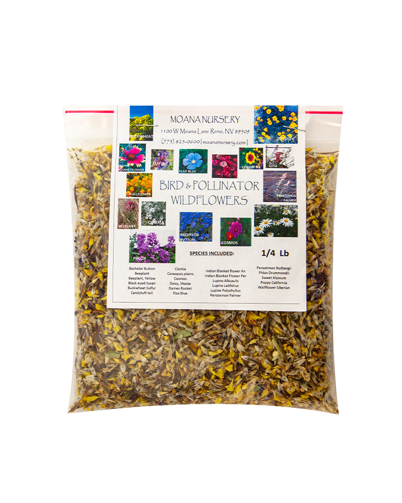 Comstock Bird and Pollinator Blend Comstock Seed 1/4lb Bag