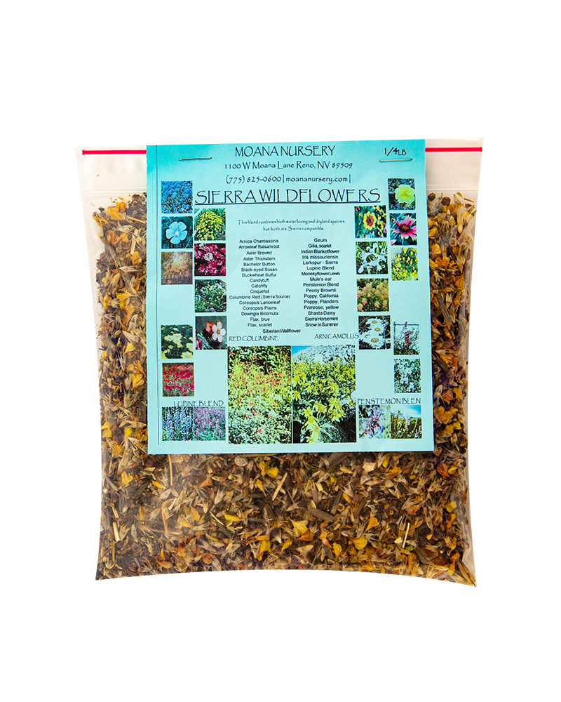Comstock Sierra Wildflower Blend Comstock Seed 1/4lb Bag
