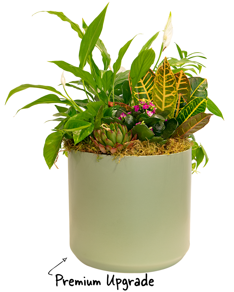 Forever Green Floral Arrangement from 128168 Moana Nursery Reno NV