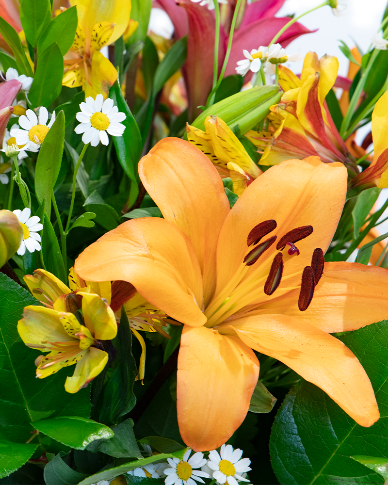 Lovely Lilies Floral Arrangement from $65-$95
