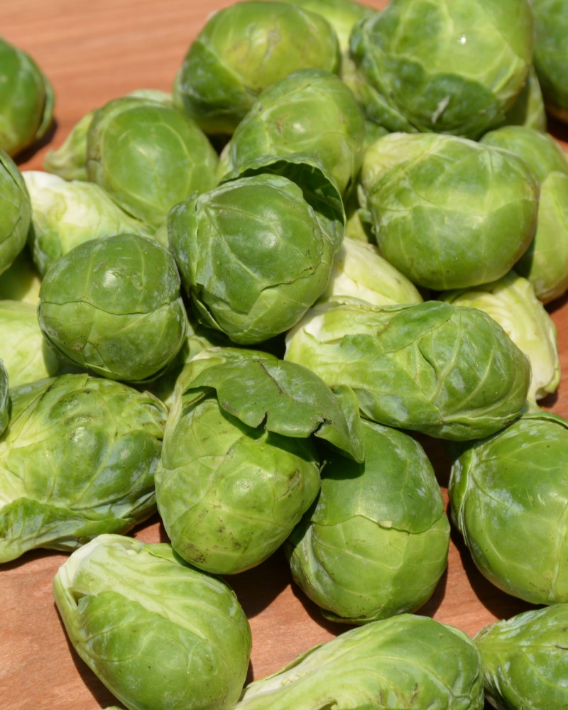 Brussels Sprout Organic 6 pack