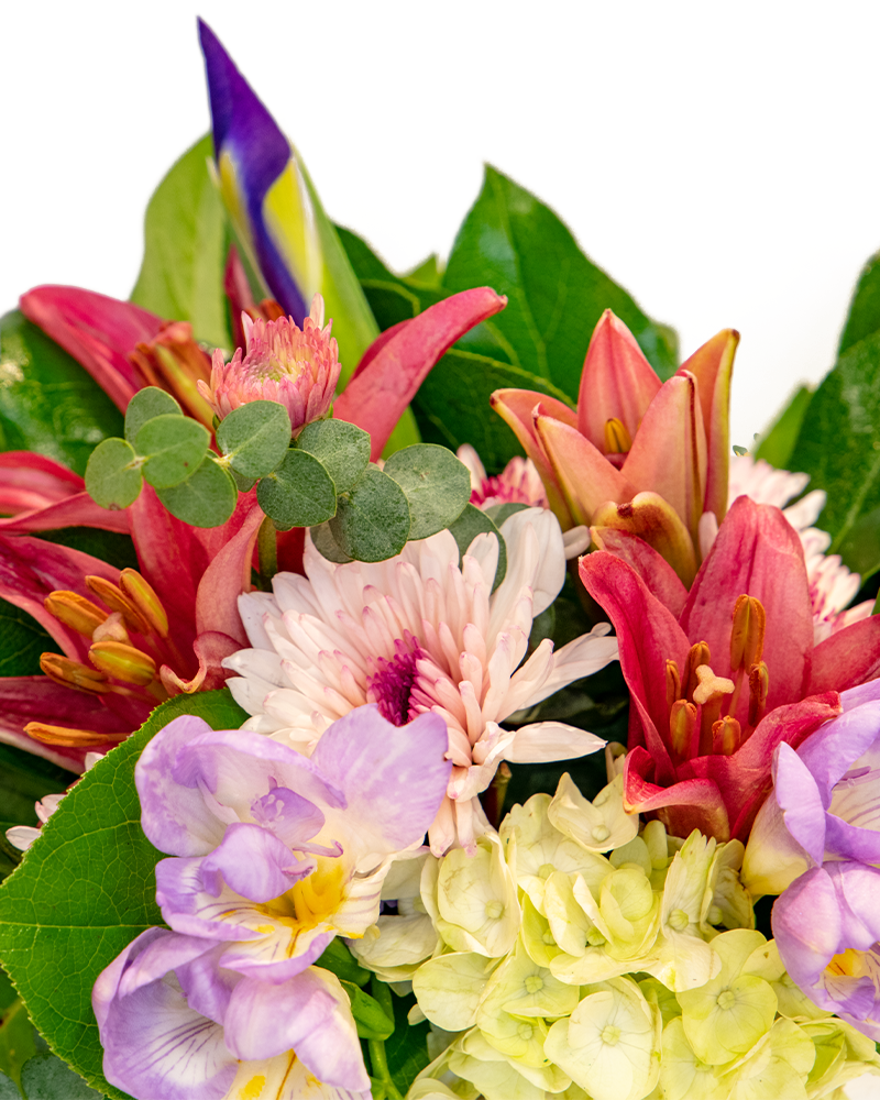 Mini Medley Floral Arrangement from $68-$95