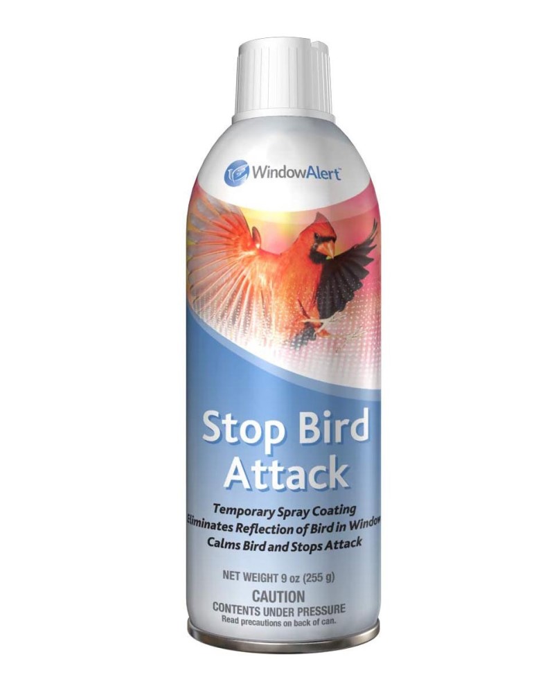 Window Alert Stop Bird Attack