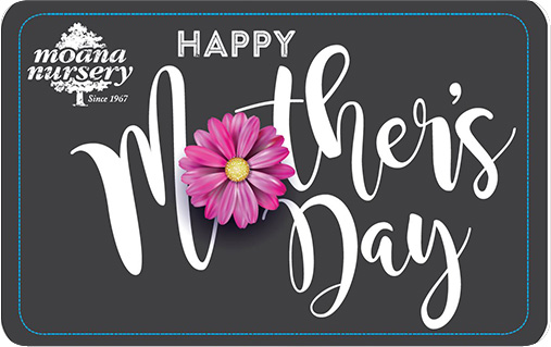 Happy Mother's Day!