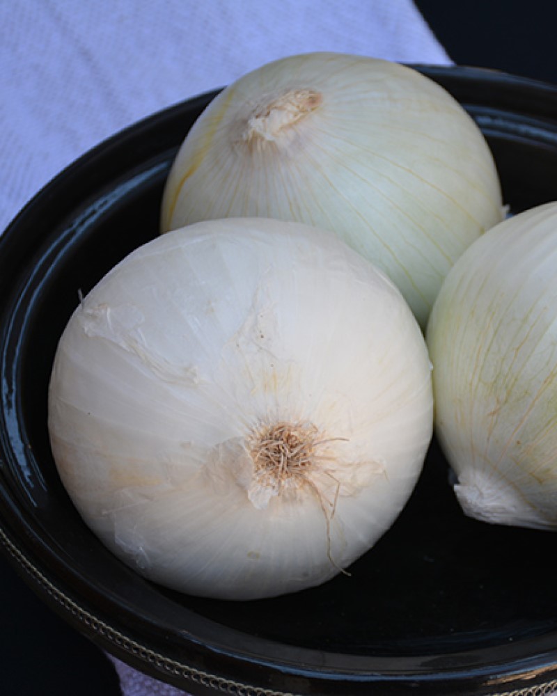 Onion White Sweet Spanish 6 Pack