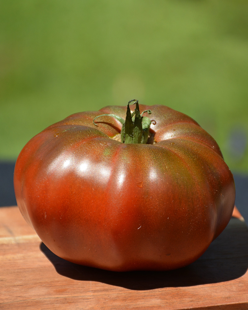 Tomato Black Krim 4"