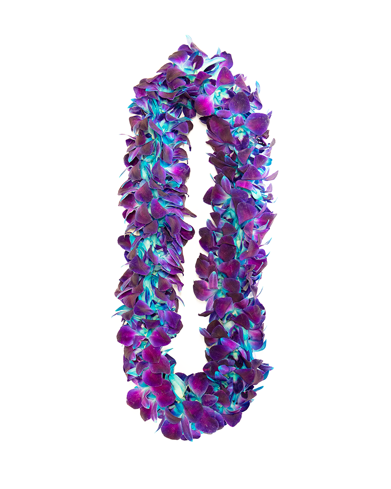 Blue and Purple Graduation Orchid Lei